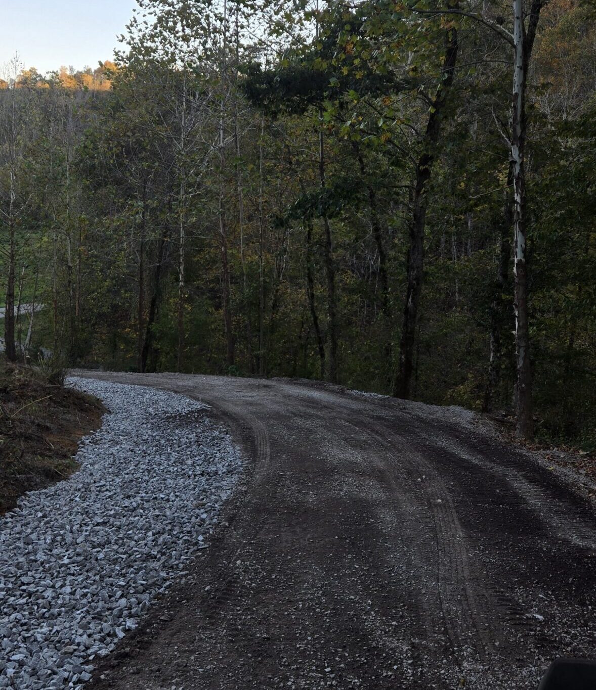 A gravel road curves through a wooded area with tall trees and scattered sunlight in the background.