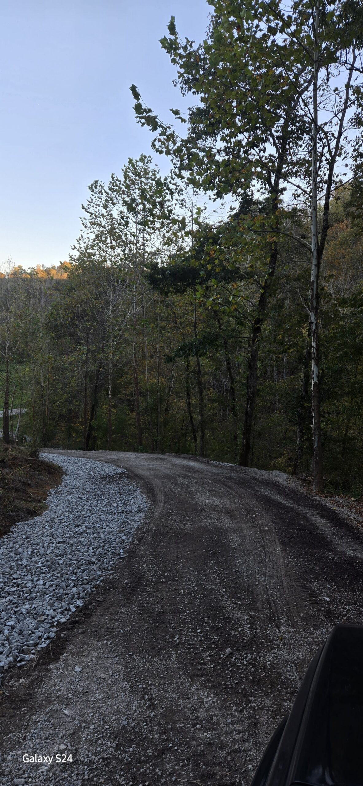 A gravel road curves through a wooded area with tall trees and scattered sunlight in the background.